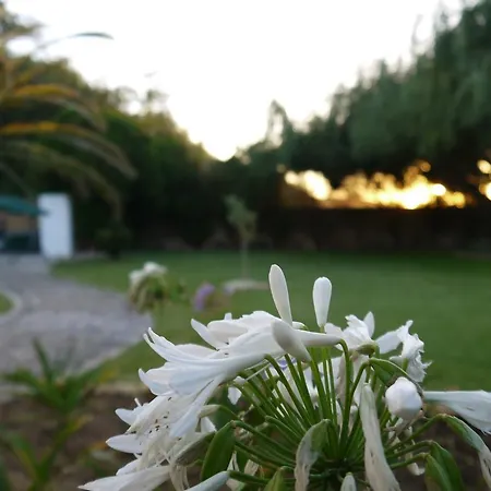 Casa Oliveira Villa *